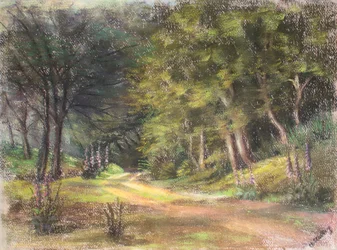 Walk in the Woods, Somerset